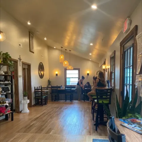 Inside the moringa tree cafe